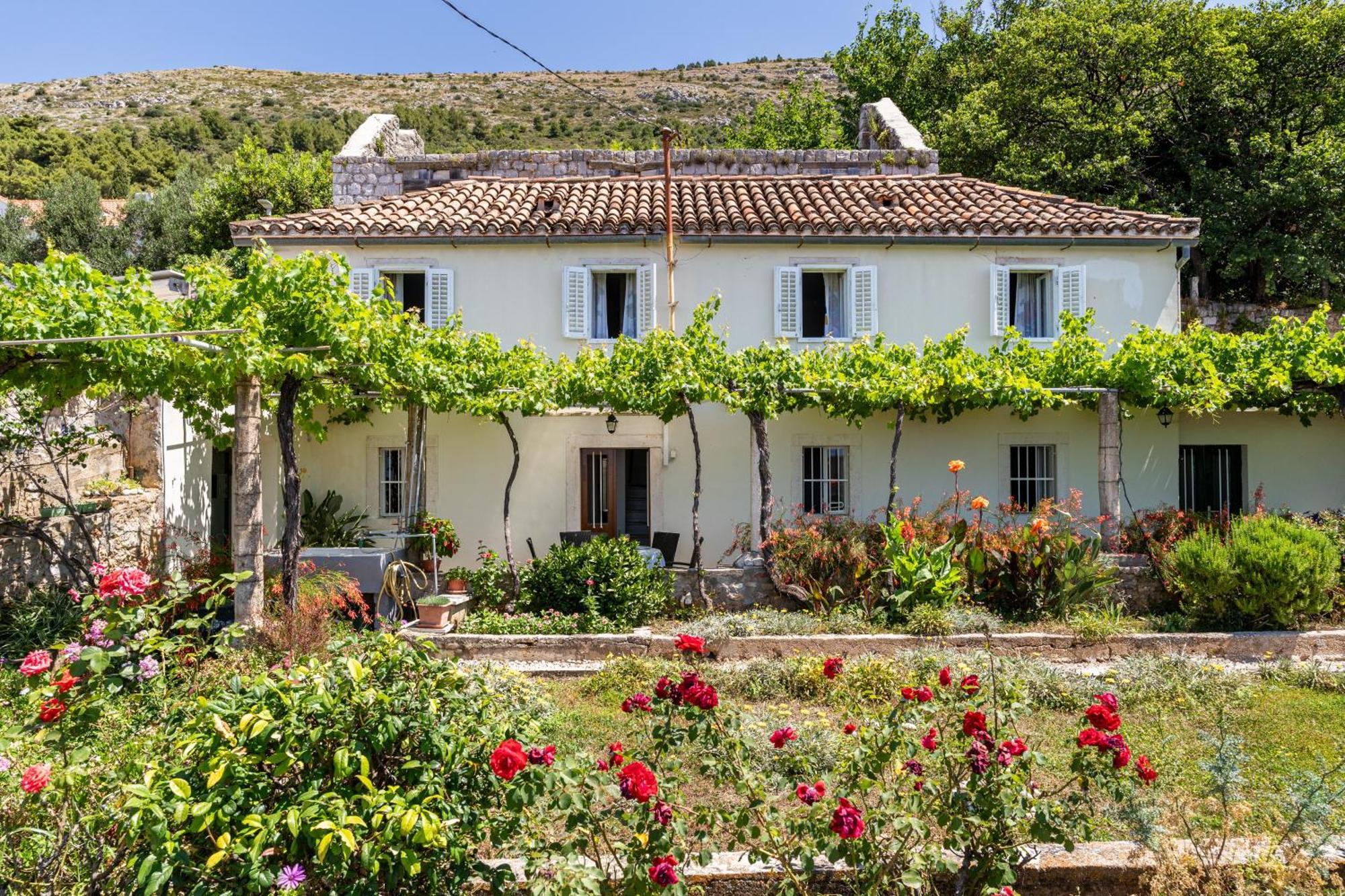 House Verde - Private House With Seaview 杜布罗夫尼克 外观 照片