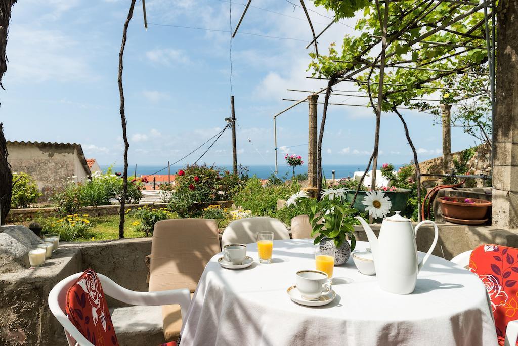 House Verde - Private House With Seaview 杜布罗夫尼克 客房 照片